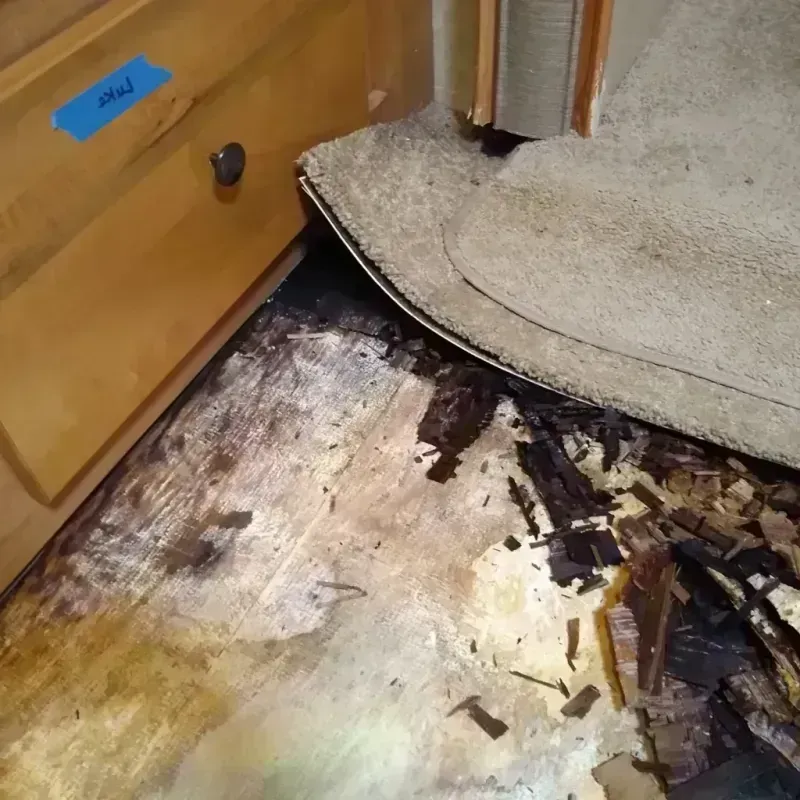 Wood Floor Water Damage in Brielle, NJ